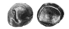 Muschel-Stater.png